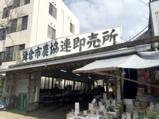 鎌倉野菜・直売所