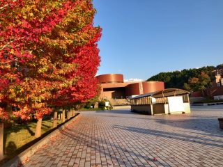 金沢大学は紅葉に包まれていました。