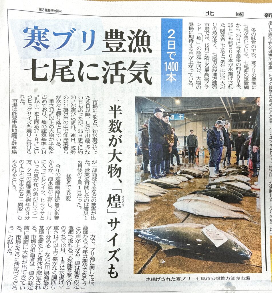 11月27日の北國新聞から「鰤がきた！」